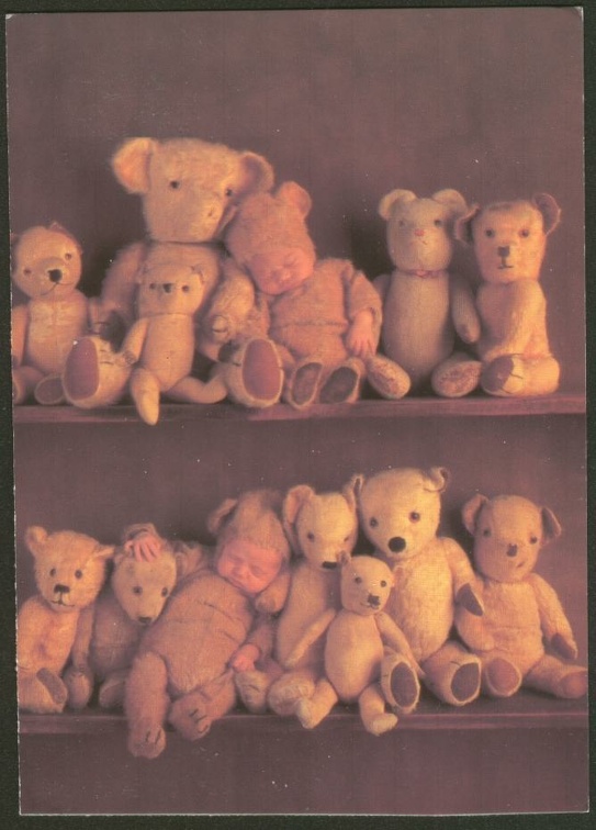 bears 039a gt