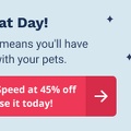 cat day offer 2020 1