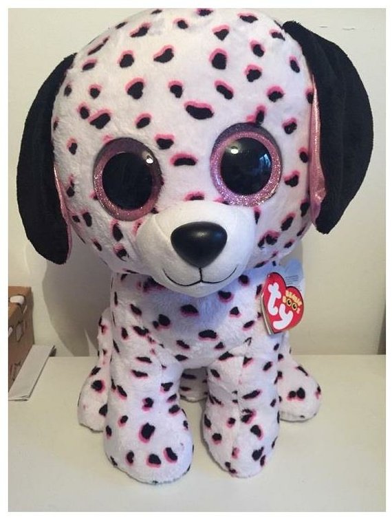 chien 20151210a