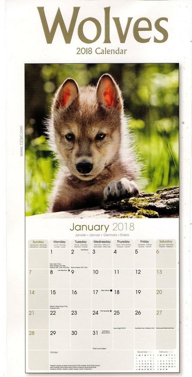 loups img20201125 11095776