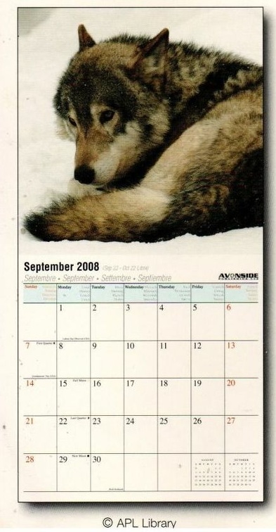 loups img20201125 11173471