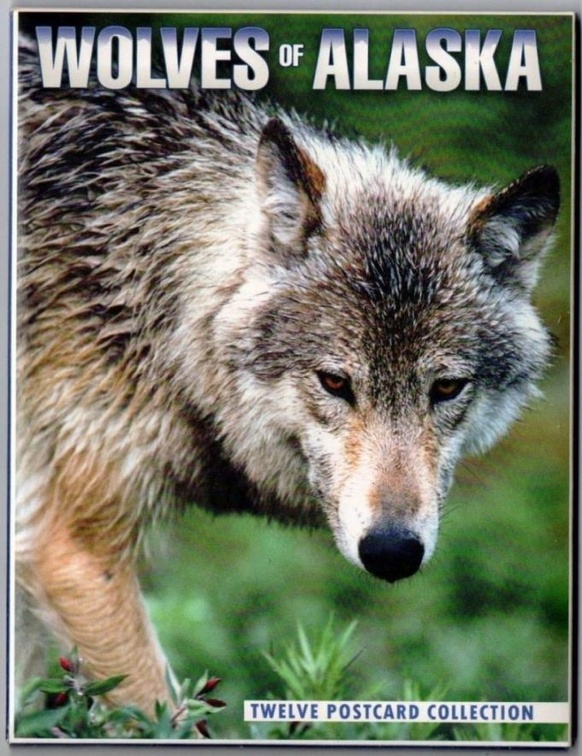 loups img20201211 15305687