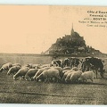 moutons 766 006