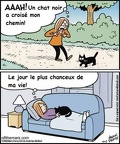chat noir 334676910 516818863857729 1153765918353600605 n