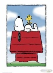 snoopy 1527751490