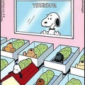 snoopy 366579376 676217304540989 2815034105465522245 n