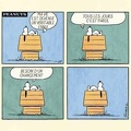 snoopy 438059828 7690949144260391 4576352182189535548 n