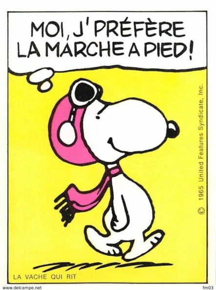 snoopy 767 003