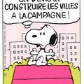 snoopy 767 005