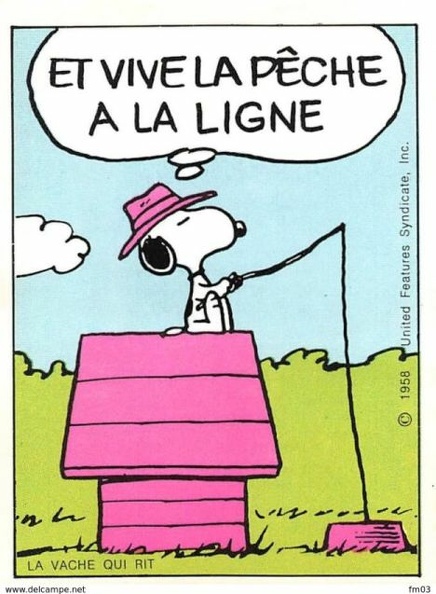 snoopy 767 006