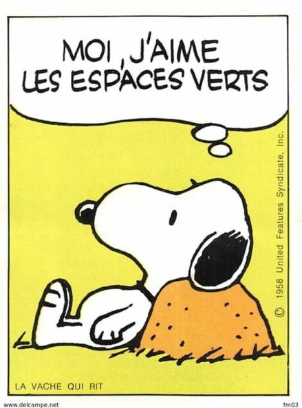 snoopy 767 007
