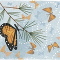 41st-anniversary-of-the-discovery-of-the-mountain-of-the-butterflies
