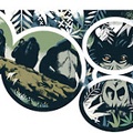 Dian Fossey 82nd Birthday