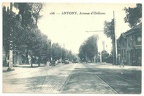 antony 070 022