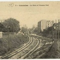 colombes 011 052
