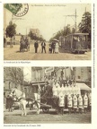 bull ja01 002a