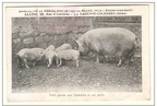 la garenne 036 001