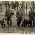 neuilly chiens police 147 001