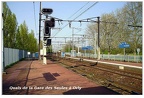 les saules a quai 331 001