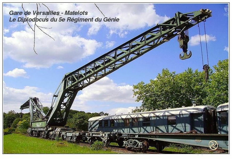 versailles le diplodocus 028 001