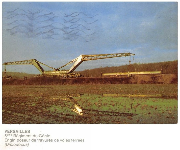 versailles_le_diplodocus_annees_1990.jpg