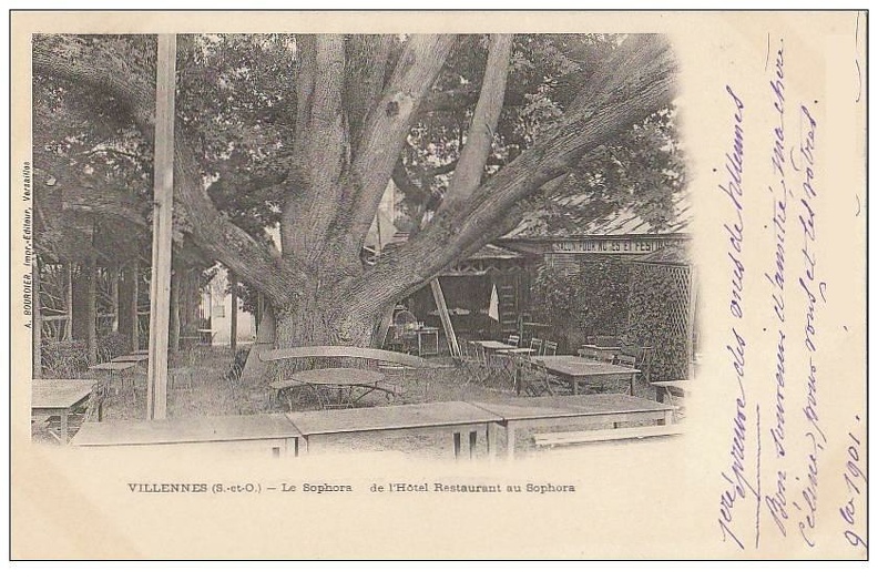 villennes_le_sophora_349_001.jpg