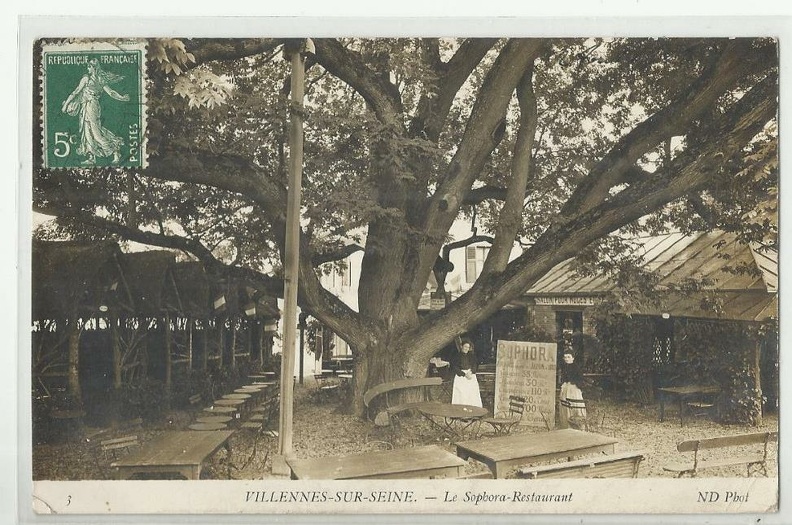 villennes_le_sophora_686_001.jpg