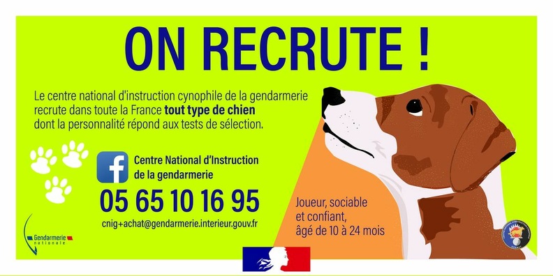 gendarmerie chiens 153775711 3919069134823919 7251985061519417956 o