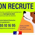 gendarmerie chiens 153775711 3919069134823919 7251985061519417956 o