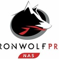 seagate ironwolf pro nas s-l1608a