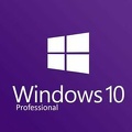 windows 10 pro 1