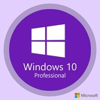 windows 10 pro 4 violet