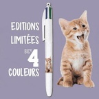 bic 4 couleurs 2020 chat bic 1