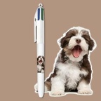 bic website 2024 4c collection chiots fp 1