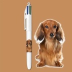 bic website 2024 4c collection chiots fp 2