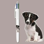 bic website 2024 4c collection chiots fp 3