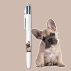 bic website 2024 4c collection chiots fp 4