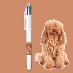 bic website 2024 4c collection chiots fp 5