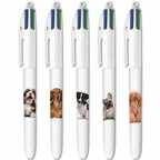 bic website 2024 4c collection chiots fp produit full