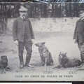 chiens police 587 001