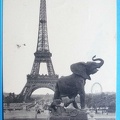 trocadero 540 036 tour eiffel grande roue elephant