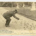tuileries jardin oiseaux 273 003