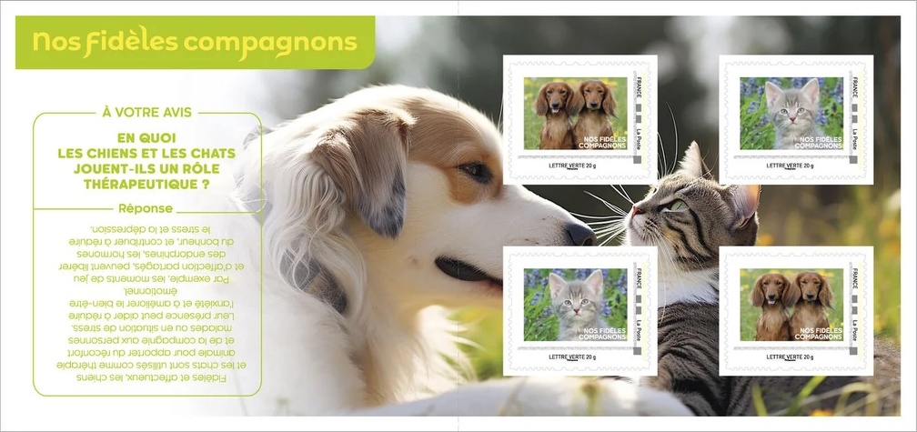 chiens et chats m-2124902-1