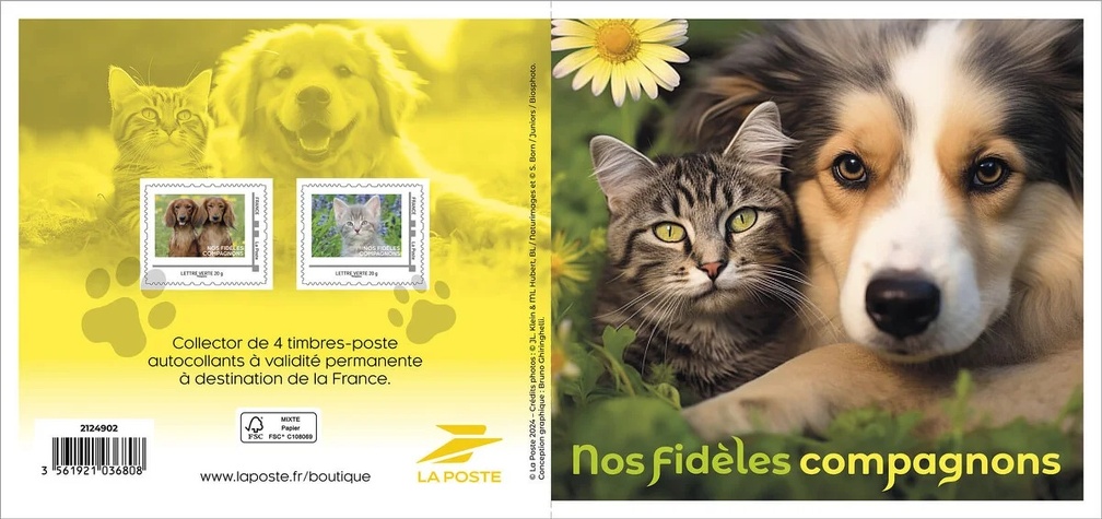 chiens et chats m-2124902-2