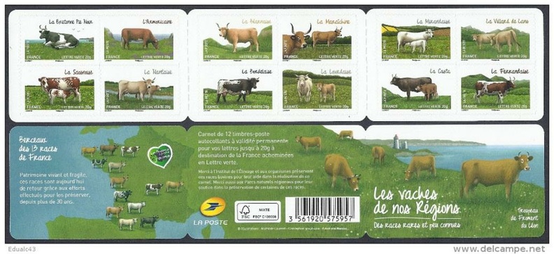 2014 les vaches 585 001