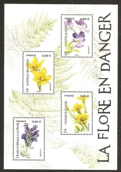2018 fleurs 461 001