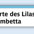 magnet ligne 3b 