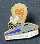 pins tgv lyon mouche 201604046 2