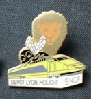 pins tgv lyon mouche 201604046 3