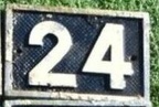 plaque 024 20240222 063